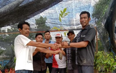 Perumda Air Minum Tirta Senentang Kabupaten Sintang menerima bantuan bibit tanaman dari Balai Pengelolaan Daerah Aliran Sungai dan Hutan Lindung Provinsi Kalimantan Barat