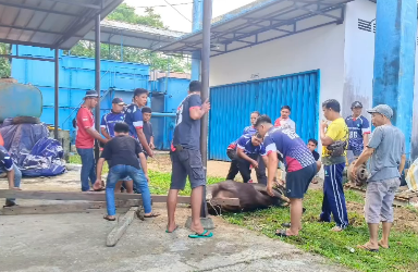 Pemotongan hewan kurban Hari Raya Idul Adha 1444 H